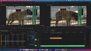 9.1 Videó sebesség módosítása